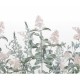 Honpo | Flower Field